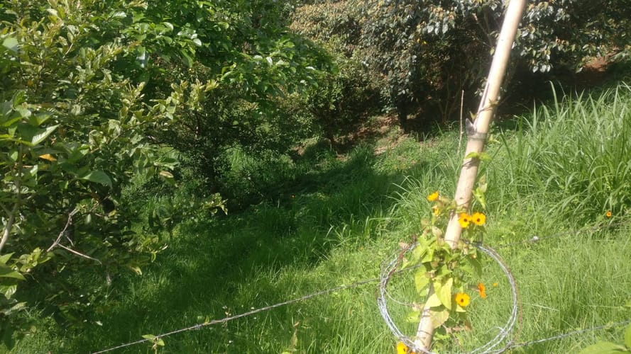 Lote en venta en El Pedrero, La Estrella, 5243 m² · foto 8 de 12