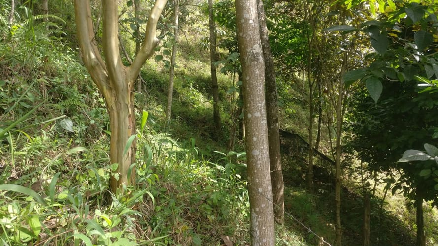 Lote en venta en El Pedrero, La Estrella, 5243 m² · foto 9 de 12