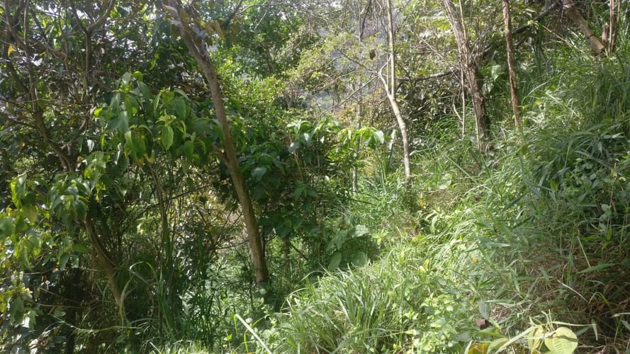 Lote en venta en El Pedrero, La Estrella, 5243 m² · foto 10 de 12