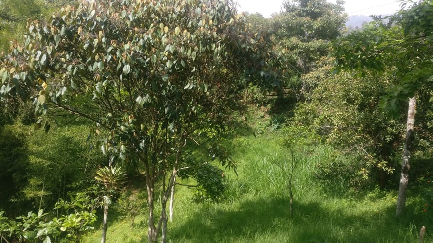 Lote en venta en El Pedrero, La Estrella, 5243 m² · foto 11 de 12