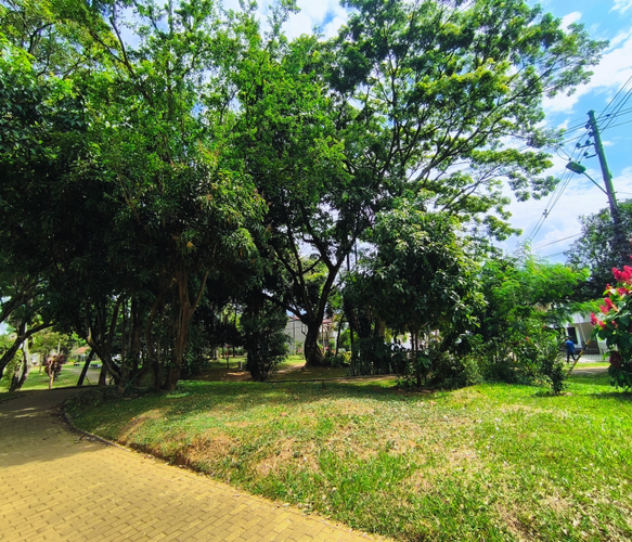 Apartamento de 3 alcobas en venta en Santa Anita, Cali, 103 m² · foto 24 de 24