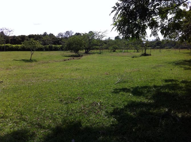 Lote en venta en Pance Alto, Cali · foto 3 de 14