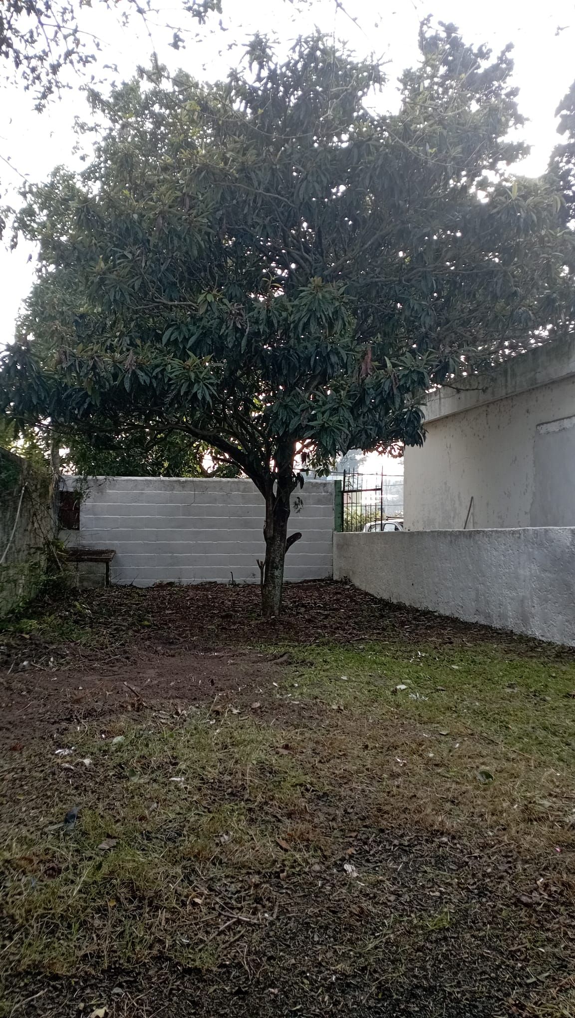 SE ALQUILA CASA AL FONDO 2 DORMITORIOS PINAR NORTE · Foto 5