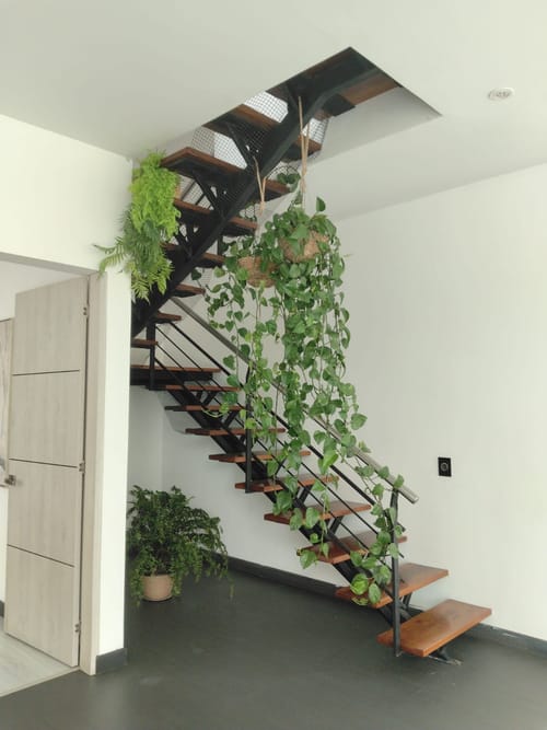 Casa de 3 alcobas en arriendo en La Diana, Sopó, 400 m² · foto 15 de 18
