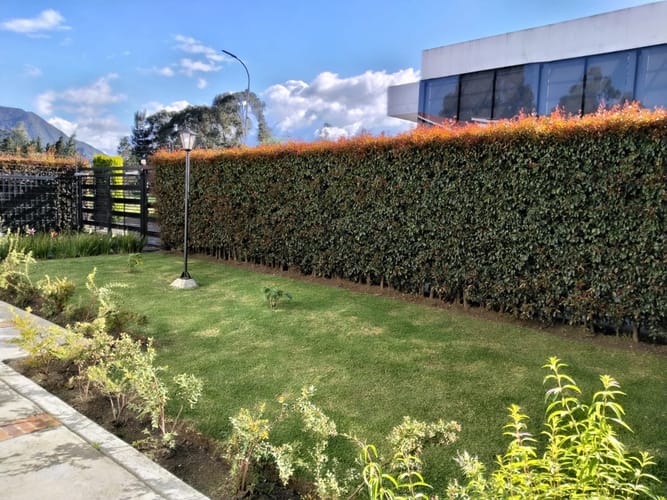 Casa de 3 alcobas en arriendo en La Diana, Sopó, 400 m² · foto 18 de 18