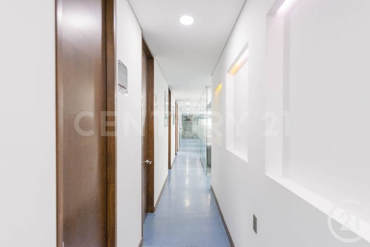 Oficina en arriendo en Conquistadores, Medellín, 509 m² · foto 15 de 22