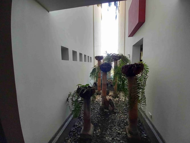 Casa de 7 alcobas en arriendo en Tejares, Manizales, 875 m² · foto 19 de 19