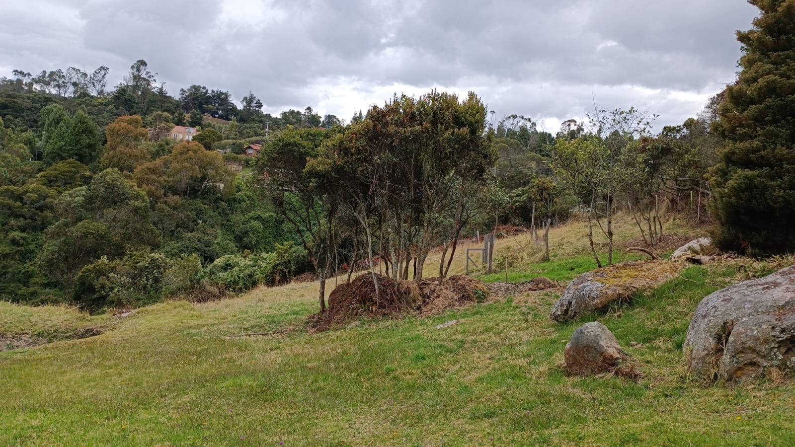 Casa en arriendo en El Libano, La Calera · foto 4 de 19