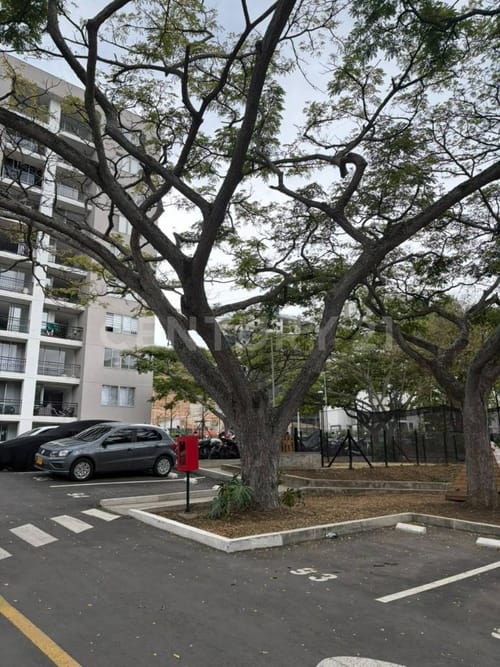 Apartamento de 2 alcobas en arriendo en Guabinas, Yumbo, 62 m² · foto 22 de 23