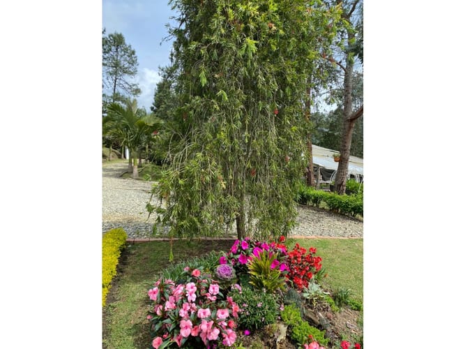 Casa en venta en Piedras Blancas, Medellín, 160 m² · foto 12 de 24