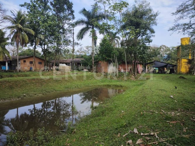 Finca en venta en Las Mercedes, Villavicencio, 850 m² · foto 15 de 20