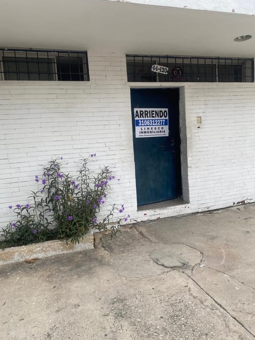 Bodega en arriendo en Boston, Barranquilla, 505 m² · foto 5 de 23
