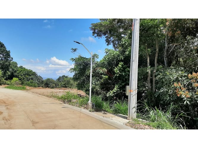 Lote en venta en El Totumo, Ibagué, 1298 m² · foto 6 de 21