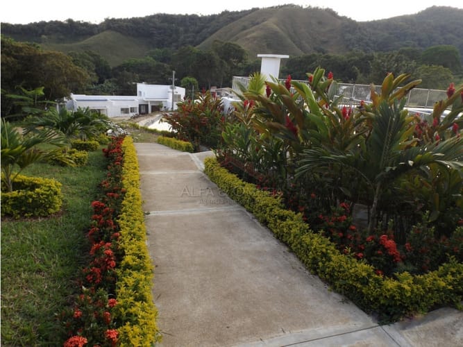 Lote en venta en El Totumo, Ibagué, 1298 m² · foto 13 de 21