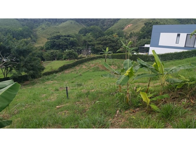 Lote en venta en El Totumo, Ibagué, 1298 m² · foto 19 de 21