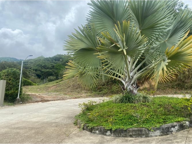 Lote en venta en El Totumo, Ibagué, 1298 m² · foto 21 de 21