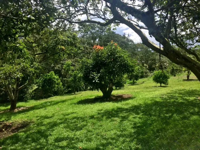 Casa de 3 alcobas en venta en El Carmen de Viboral · foto 10 de 18