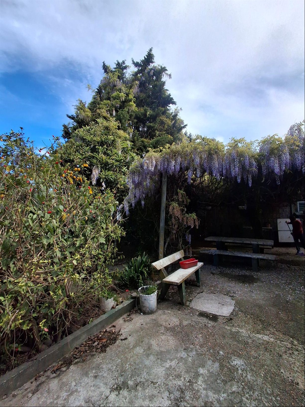 Casa en Alquiler · Foto 6