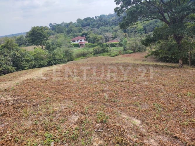 Lote en venta en Cairo Alto, Villavicencio, 30600 m² · foto 5 de 9
