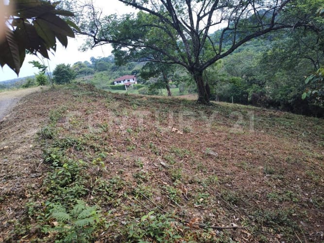 Lote en venta en Cairo Alto, Villavicencio, 30600 m² · foto 6 de 9