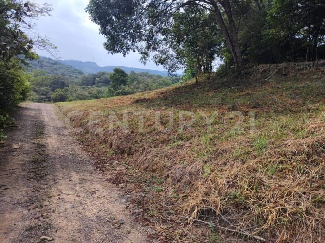 Lote en venta en Cairo Alto, Villavicencio, 30600 m² · foto 7 de 9