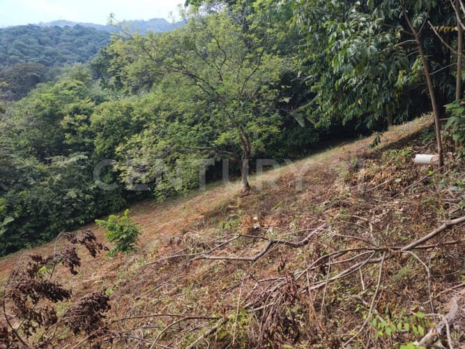 Lote en venta en Cairo Alto, Villavicencio, 30600 m² · foto 8 de 9