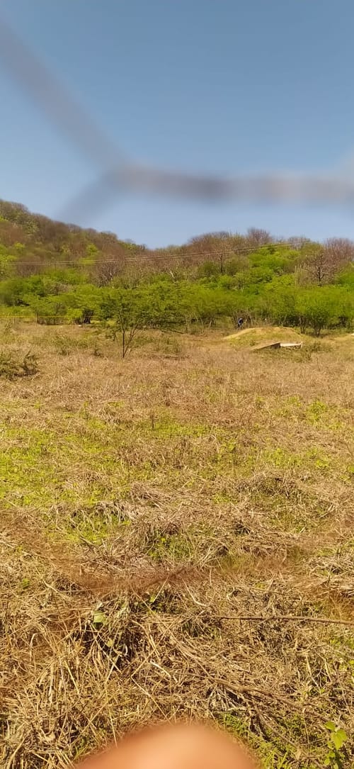 Lote en venta en Pozos Colorados, Santa Marta, 40 m² · foto 2 de 10