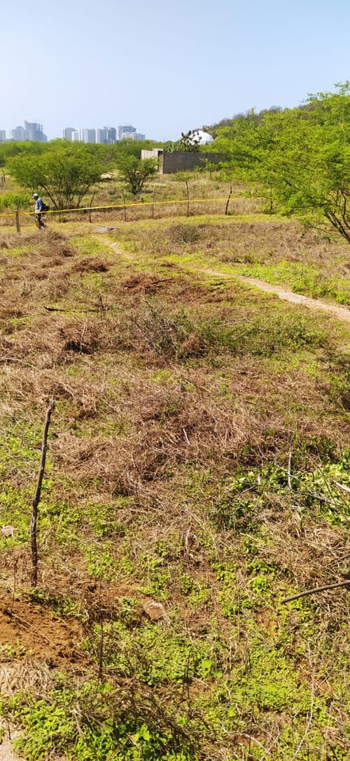 Lote en venta en Pozos Colorados, Santa Marta, 40 m² · foto 5 de 10
