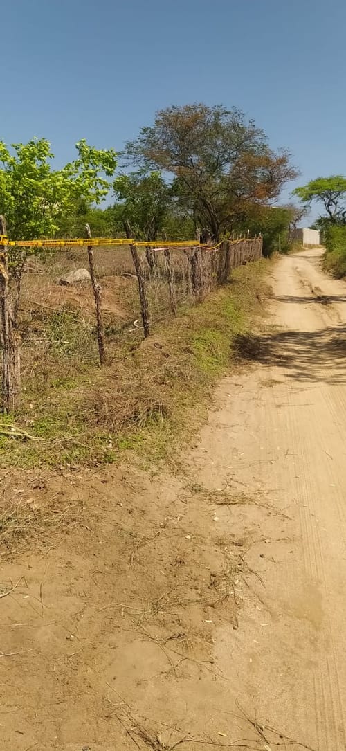 Lote en venta en Pozos Colorados, Santa Marta, 40 m² · foto 6 de 10