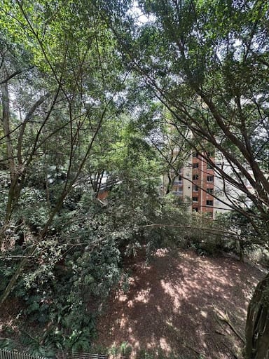 Apartamento de 2 alcobas en arriendo en Castropol, Medellín, 75 m² · foto 10 de 20