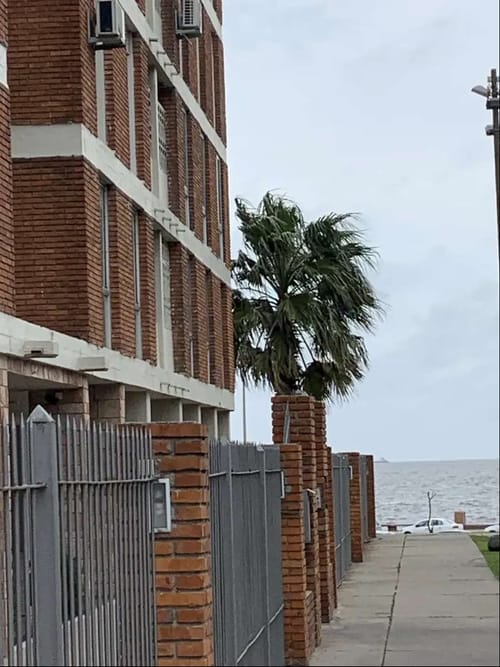 Apartamento en Alquiler · Foto 7