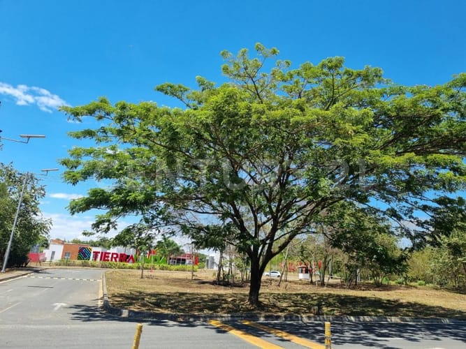 Local en arriendo en Ciudad Pacífica, Cali, 25 m² · foto 6 de 6