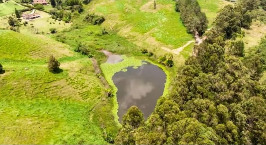 Lote en venta en El Tablazo, Rionegro, 4496 m² · foto 4 de 14