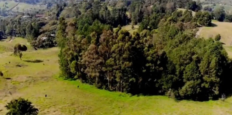 Lote en venta en El Tablazo, Rionegro, 4496 m² · foto 7 de 14