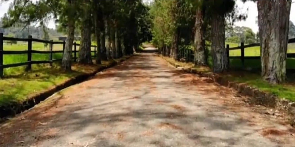 Lote en venta en El Tablazo, Rionegro, 4496 m² · foto 8 de 14