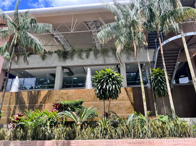 Local en arriendo en Nuevo Maizaro, Villavicencio, 50 m² · foto 2 de 24