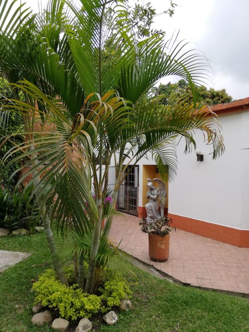 Casa de 4 alcobas en venta en La Españolita, Piedecuesta, 1800 m² · foto 6 de 24
