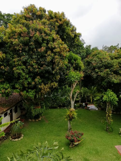 Casa de 4 alcobas en venta en La Españolita, Piedecuesta, 1800 m² · foto 11 de 24