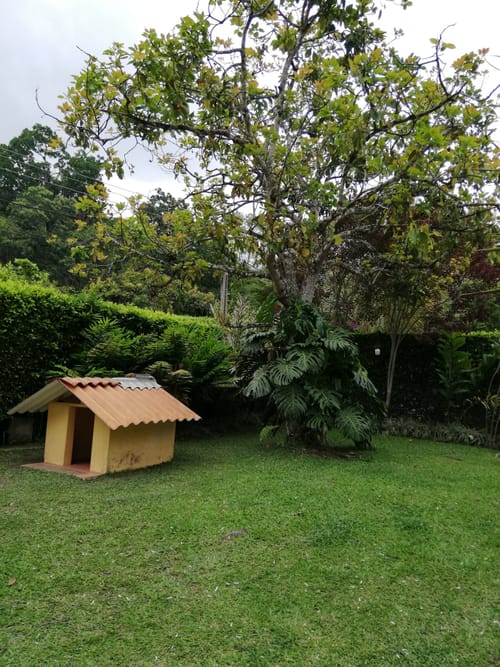 Casa de 4 alcobas en venta en La Españolita, Piedecuesta, 1800 m² · foto 8 de 24
