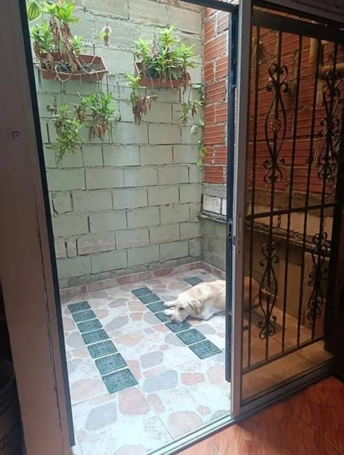 Casa de 5 alcobas en venta en Tejelo, Medellín, 180 m² · foto 12 de 12