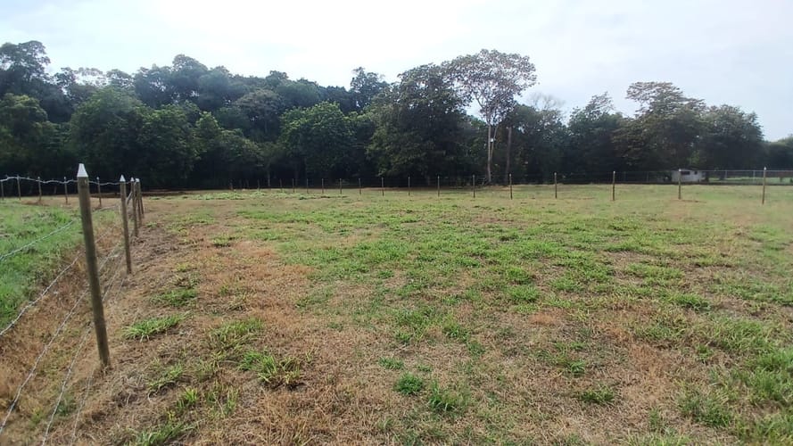 Lote en venta en Pance, Cali, 5 m² · foto 5 de 24