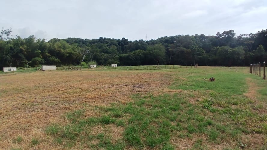 Lote en venta en Pance, Cali, 5 m² · foto 7 de 24