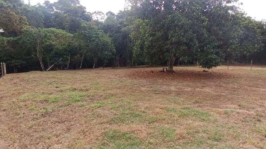 Lote en venta en Pance, Cali, 5 m² · foto 14 de 24