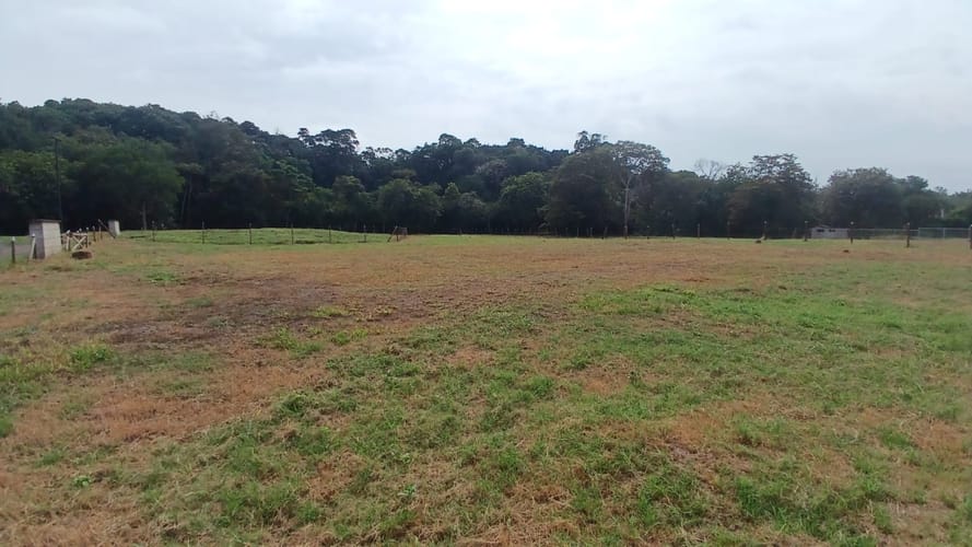 Lote en venta en Pance, Cali, 5 m² · foto 15 de 24