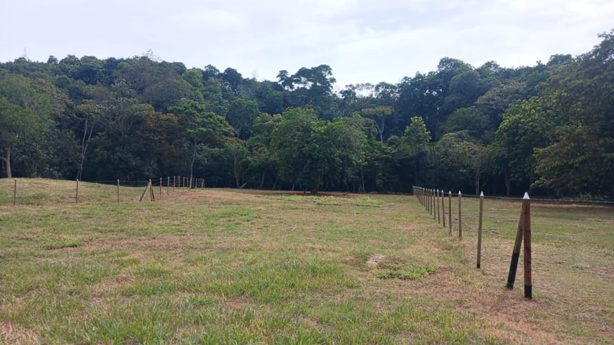 Lote en venta en Pance, Cali, 5 m² · foto 21 de 24