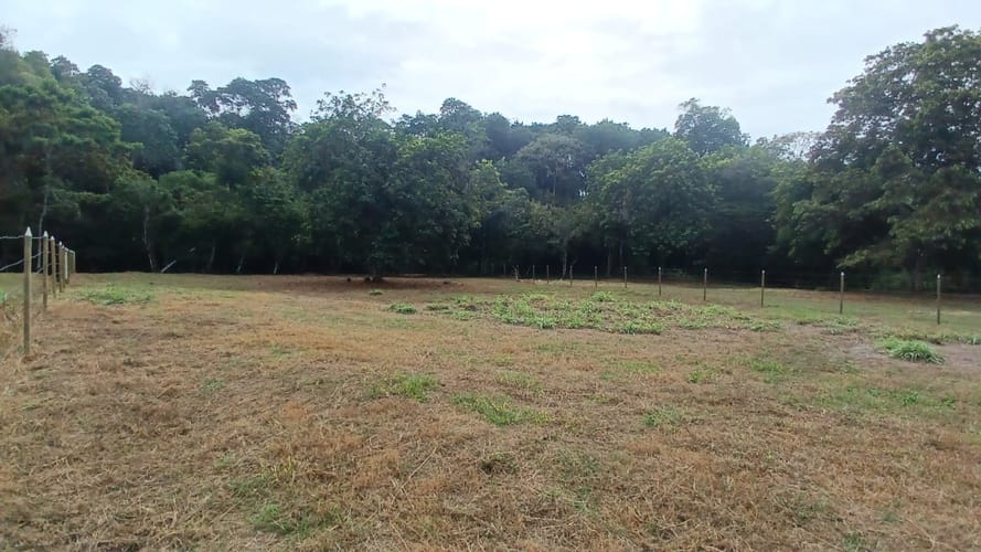 Lote en venta en Pance, Cali, 5 m² · foto 24 de 24
