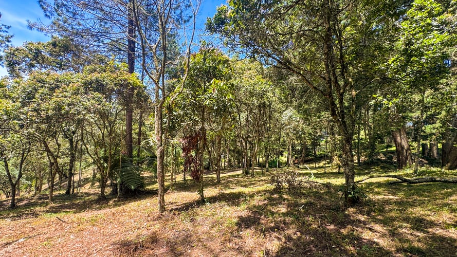 Lote en venta en El Portento, El Retiro, 10500 m² · foto 6 de 11