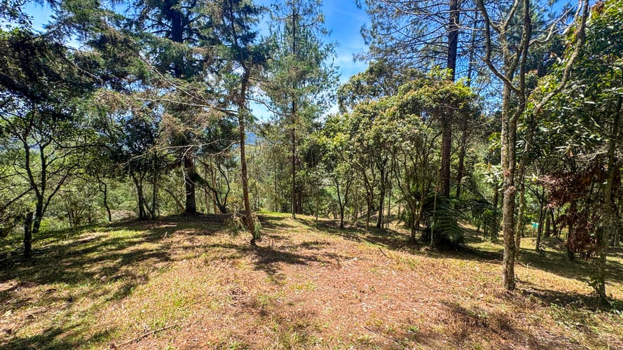 Lote en venta en El Portento, El Retiro, 10500 m² · foto 7 de 11