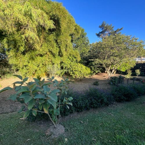 Finca en arriendo en El Carmen De Viboral, El Carmen de Viboral, 160 m² · foto 11 de 15