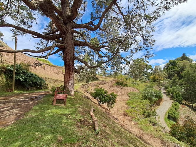 Finca en venta en El Porvenir, Rionegro, 270 m² · foto 5 de 24